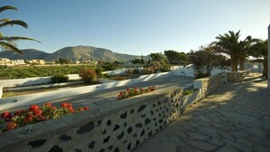 A paved terrace with stone walls, red flowers, and palm trees. - Alafouzos Studios (Santorini)
