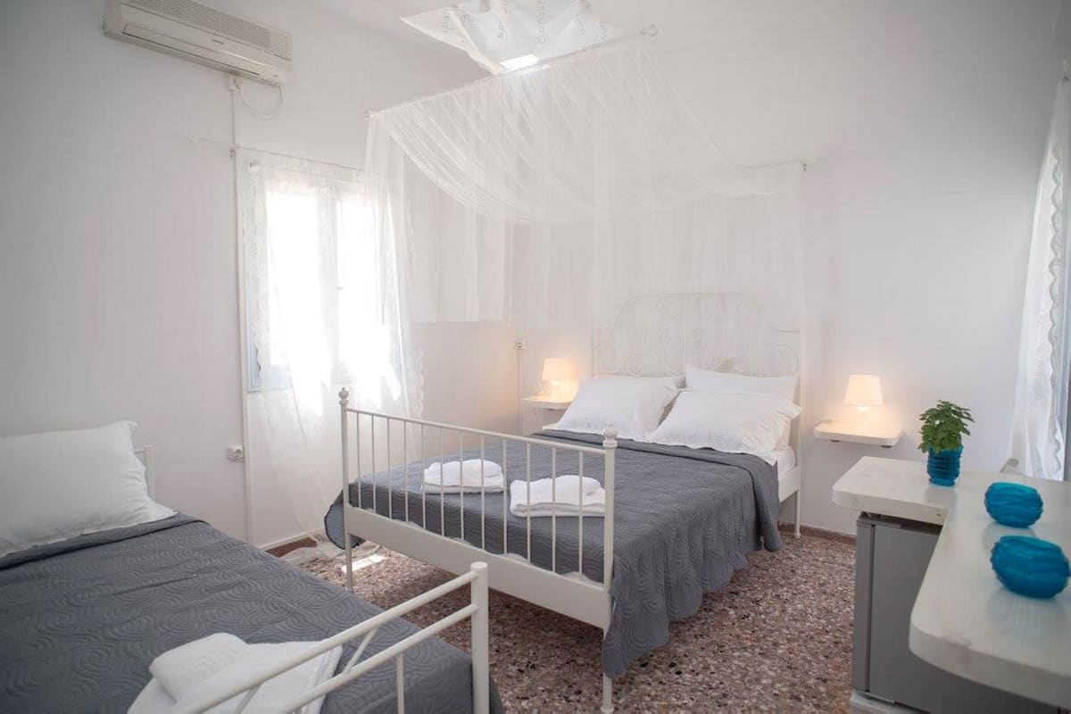 A bedroom with two beds, a bedside table with a lamp, a small desk with a plant, and a window with sheer curtains.