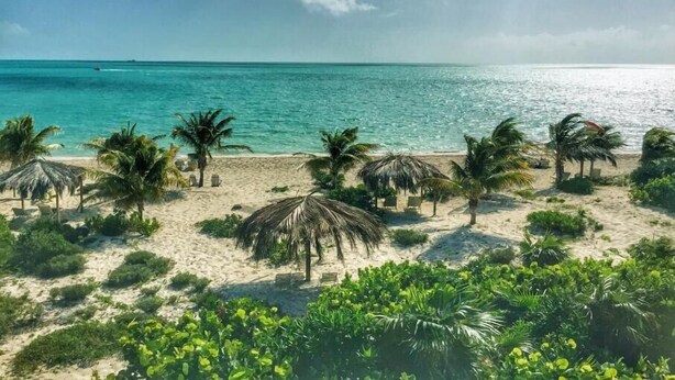 A beach with clear turquoise water, palm trees, and a thatched-roof hut.