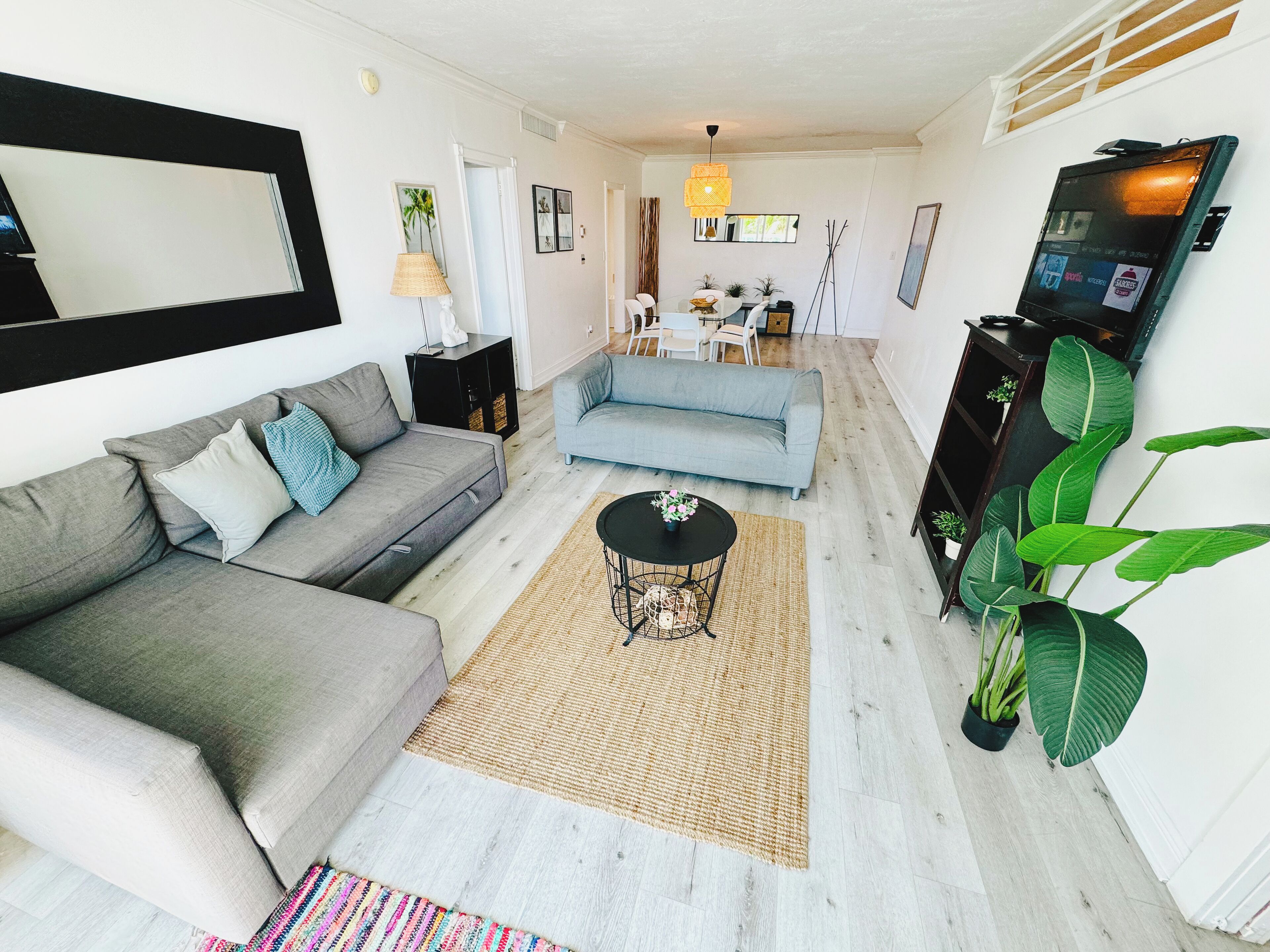 A modern living room with a grey sofa, a blue sofa, a coffee table, and a large green plant.