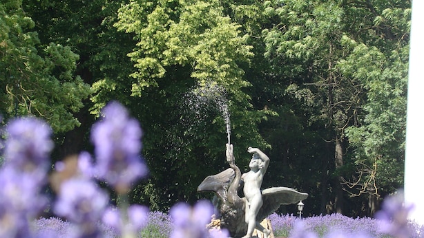 En statue af et væsen med vinger i en have med frodigt grønt og lilla blomster.