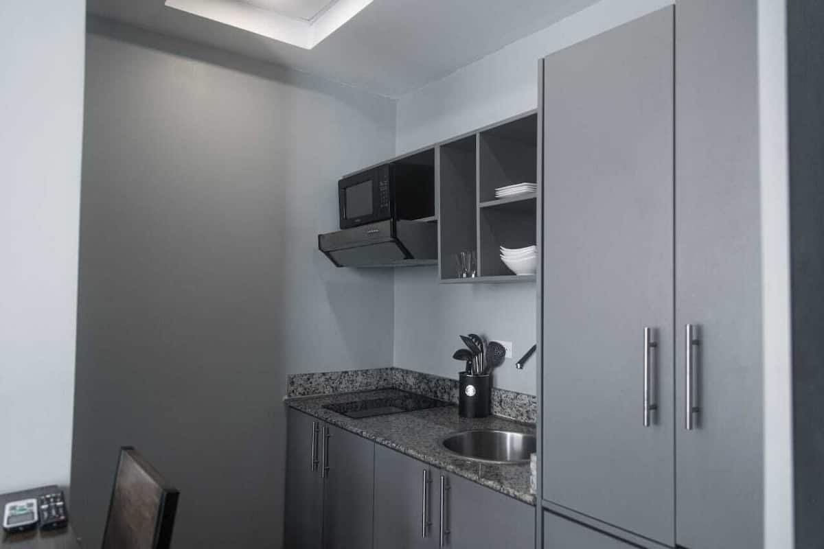 studio, 1 full bed, kitchen, city view (studio apartment) | private kitchen | dishwasher, coffee/tea maker, cookware/dishes/utensils