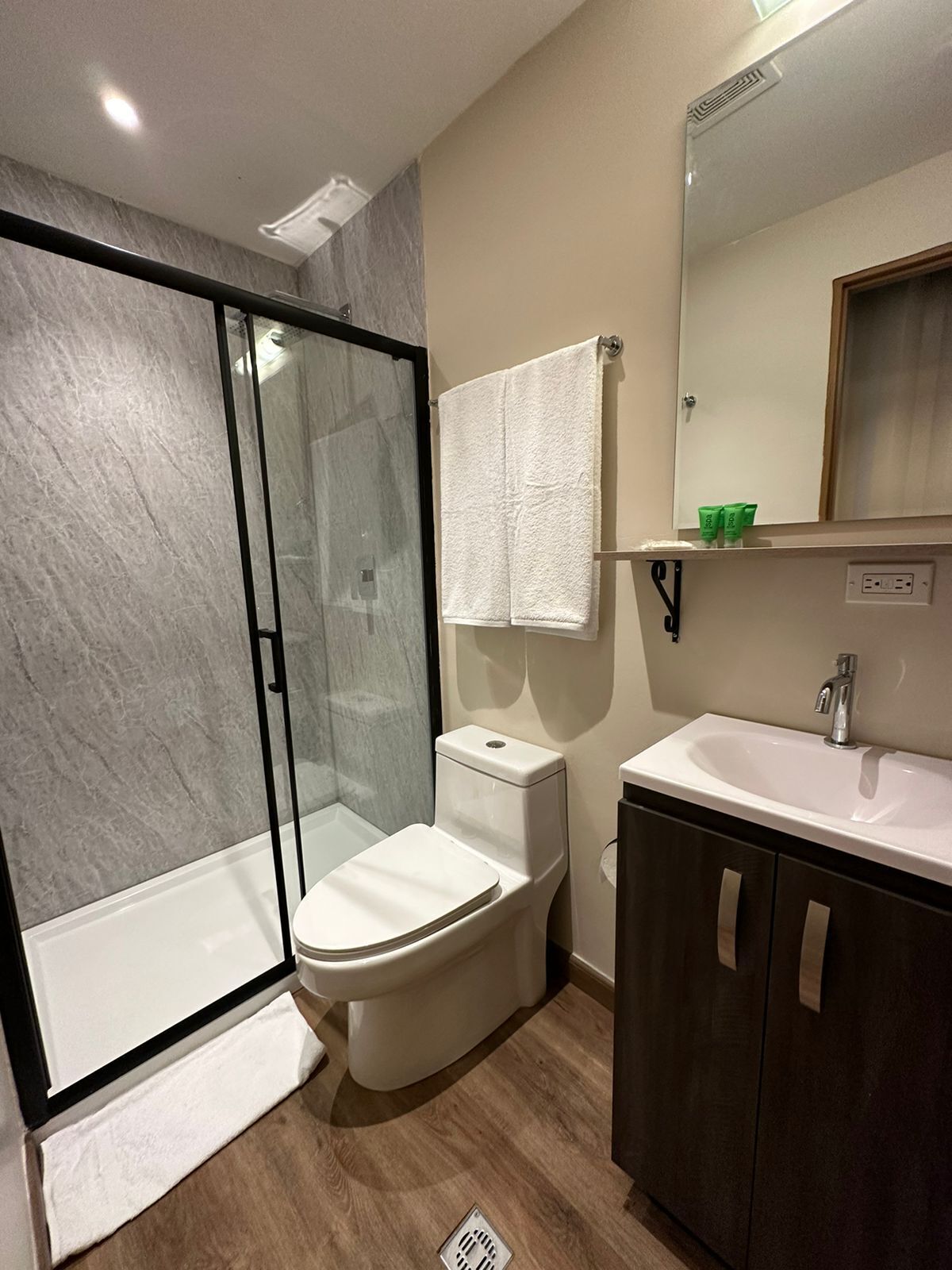 deluxe room | bathroom | shower, towels, soap, shampoo