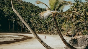 Gambar tidak terklasifikasi, 2 dari 35, tombol