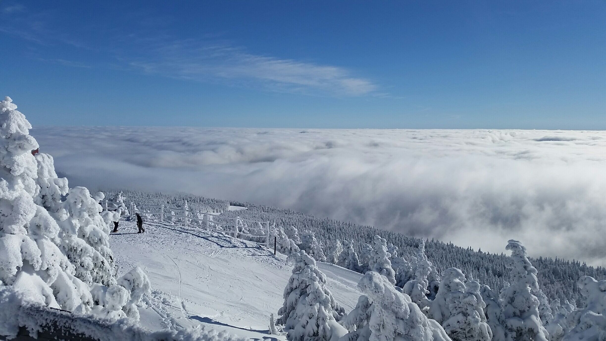 Above the clouds 