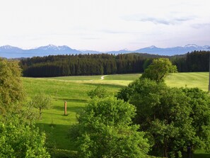 A grassy field with a dirt path, surrounded by dense forest and mountains in the background. - Landhaus Griessee (Obing)