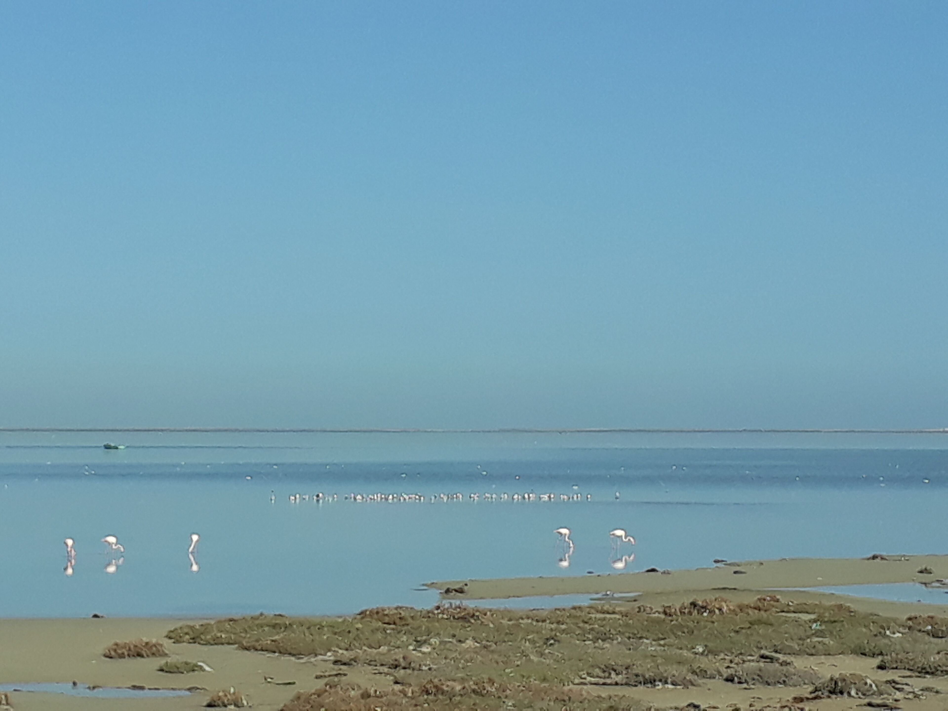 På stranden og solsenger