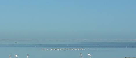 På stranden og solsenger