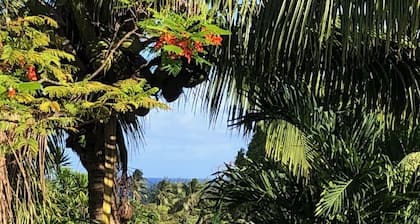 TUROU RETREAT Rarotonga sleeps 12 near MURI BEACH