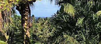 TUROU RETREAT Rarotonga sleeps 12 near MURI BEACH