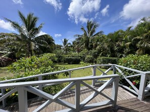 A wooden deck with a white railing overlooking a tropical garden with various plants and palm trees.