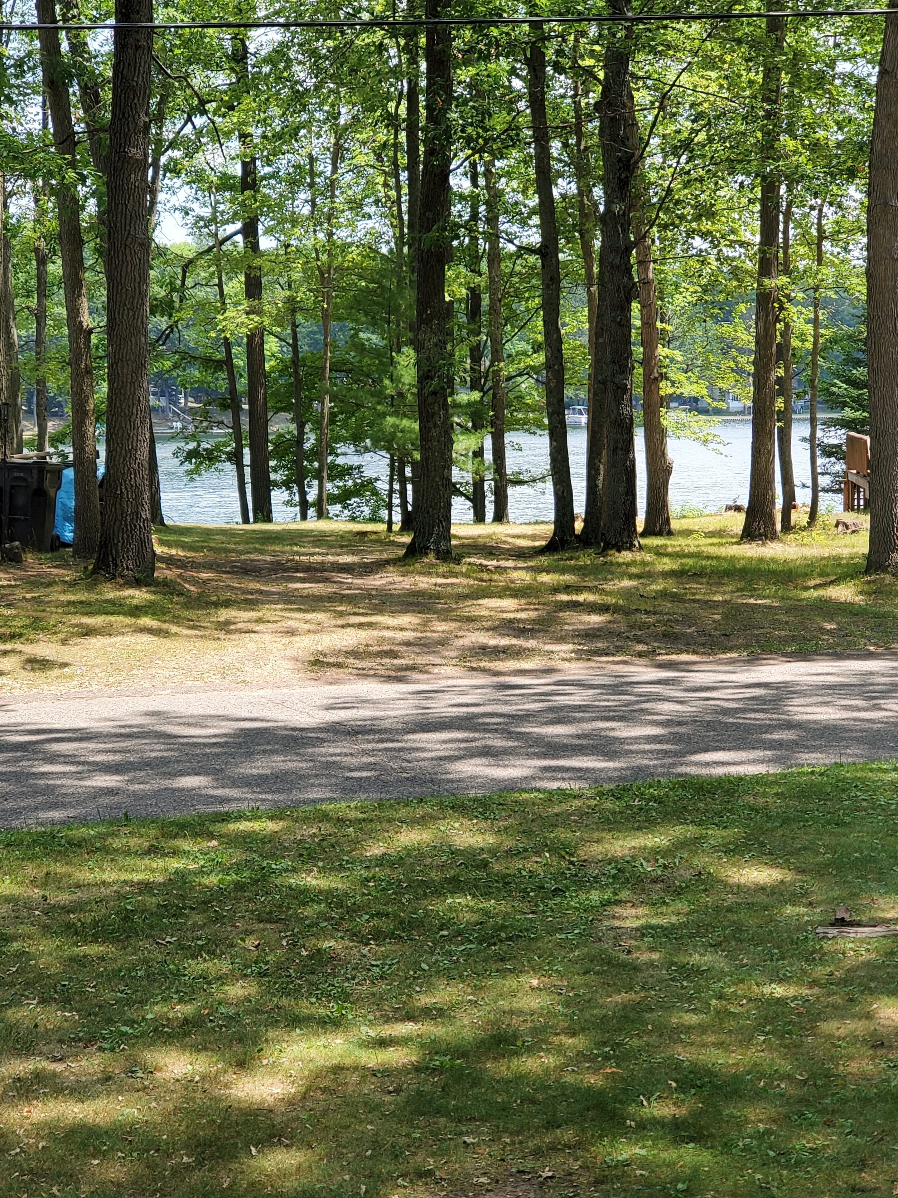 A campground with a dirt path leading to a lake, surrounded by tall trees.
