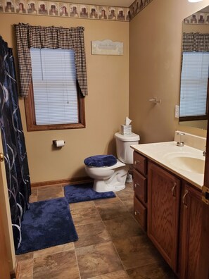 Combined shower/bathtub, hair dryer, towels, soap