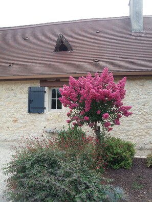 Détail de l’extérieur