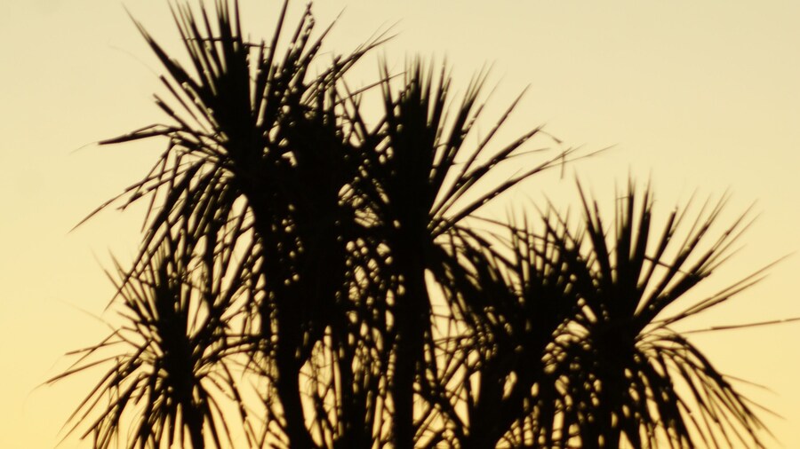 Awatuna Sunset Lodge