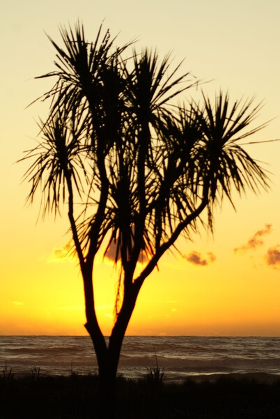 Awatuna Sunset Lodge