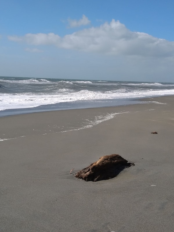On the beach, black sand, free beach shuttle, kayaking