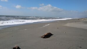 On the beach, black sand, free beach shuttle, kayaking - Awatuna Sunset Lodge (Awatuna)