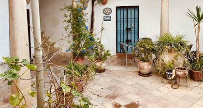 Palace House "La Casa Empeño" in Historic Center