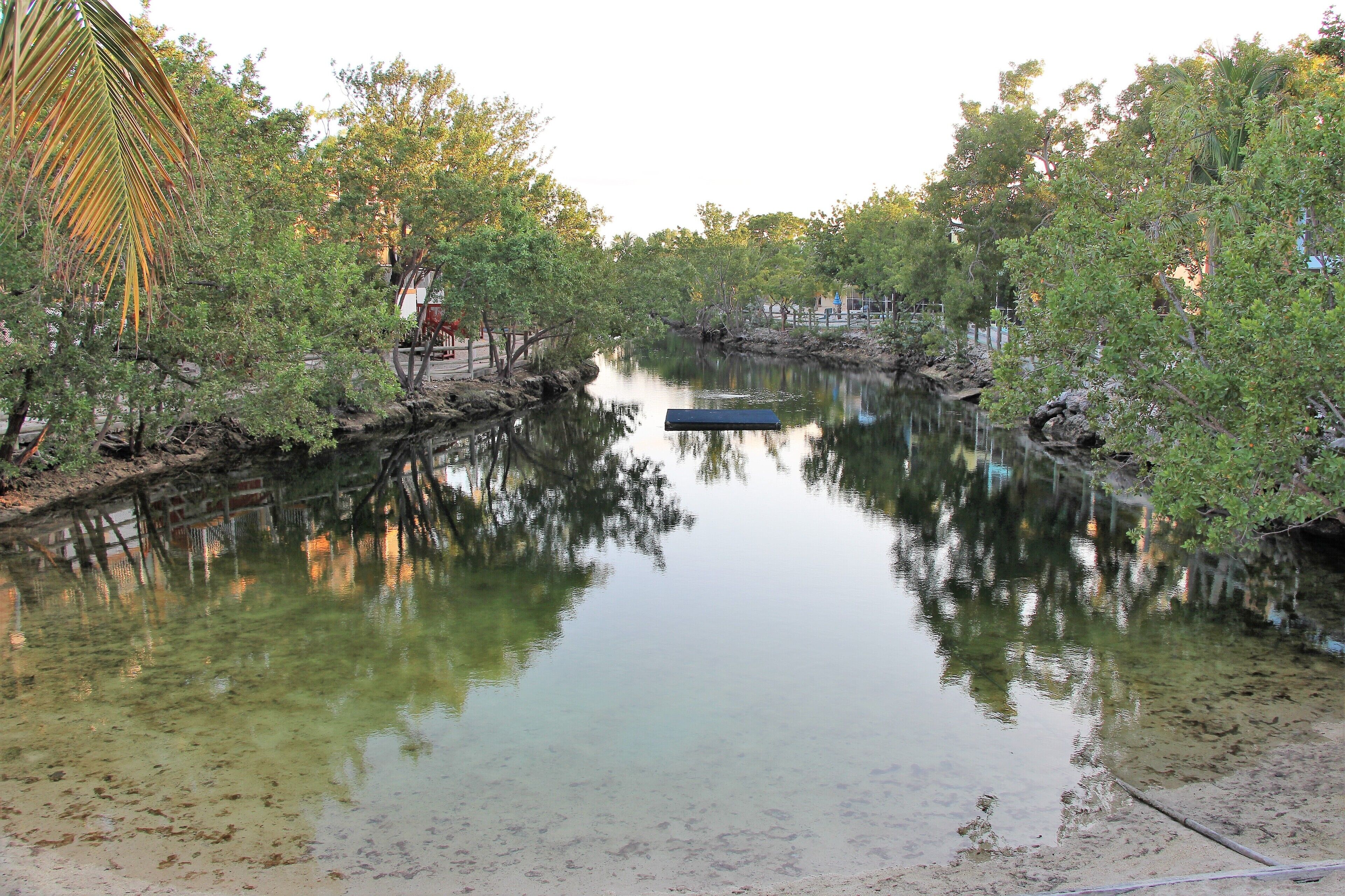 A calm river with a small boat, surrounded by dense trees and a wooden bridge.
