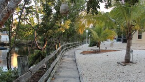 A pathway alongside a body of water, flanked by trees and a wooden fence.