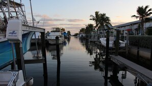 A marina with boats docked, a wooden walkway, and palm trees.