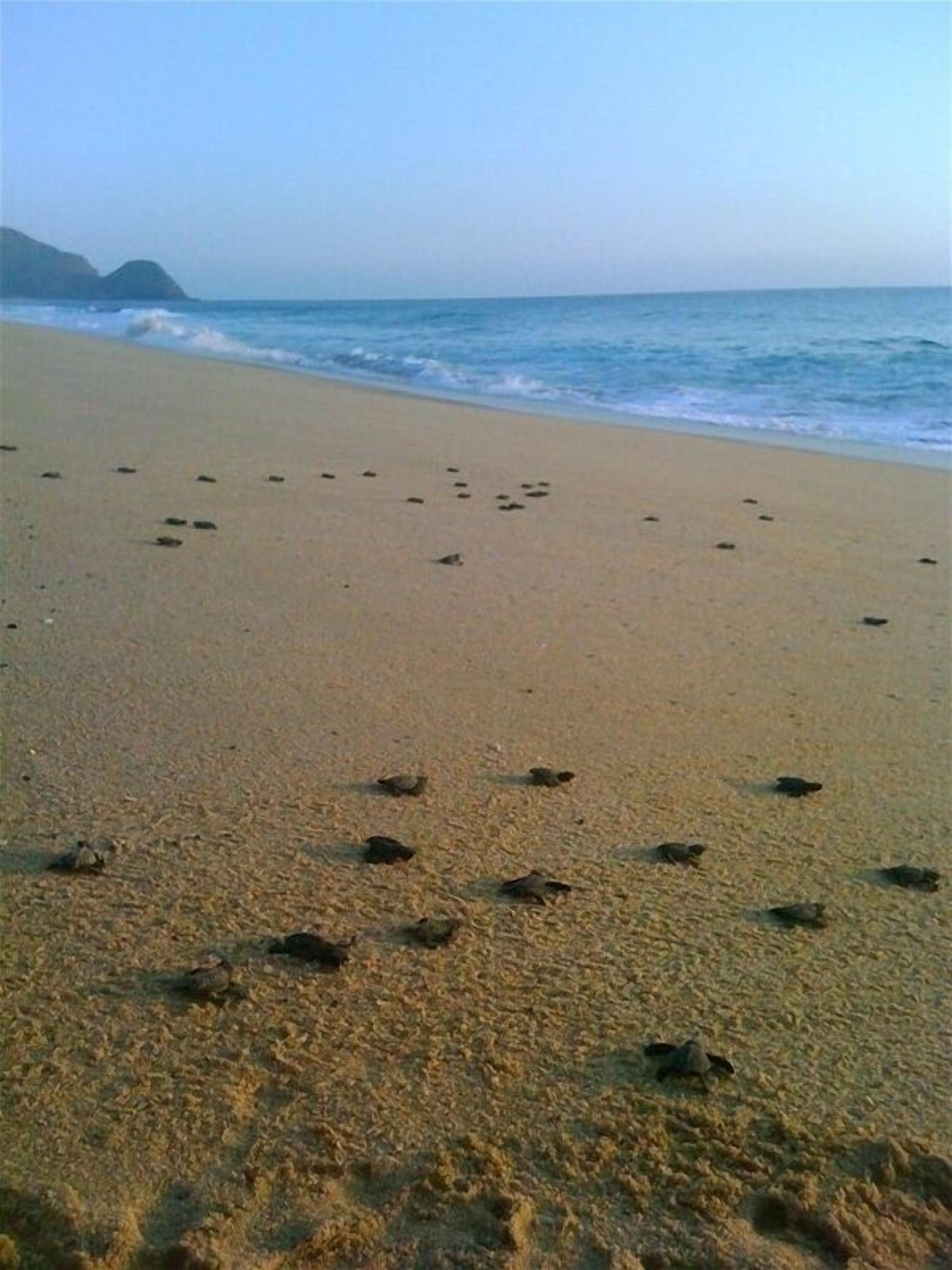 På stranden, liggestole, badehåndklæder