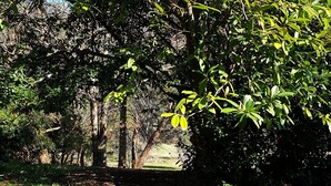 Garden - Redruth (Wandiligong)