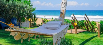 Blue Nest at the Beach
