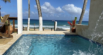 Blue Nest at the Beach