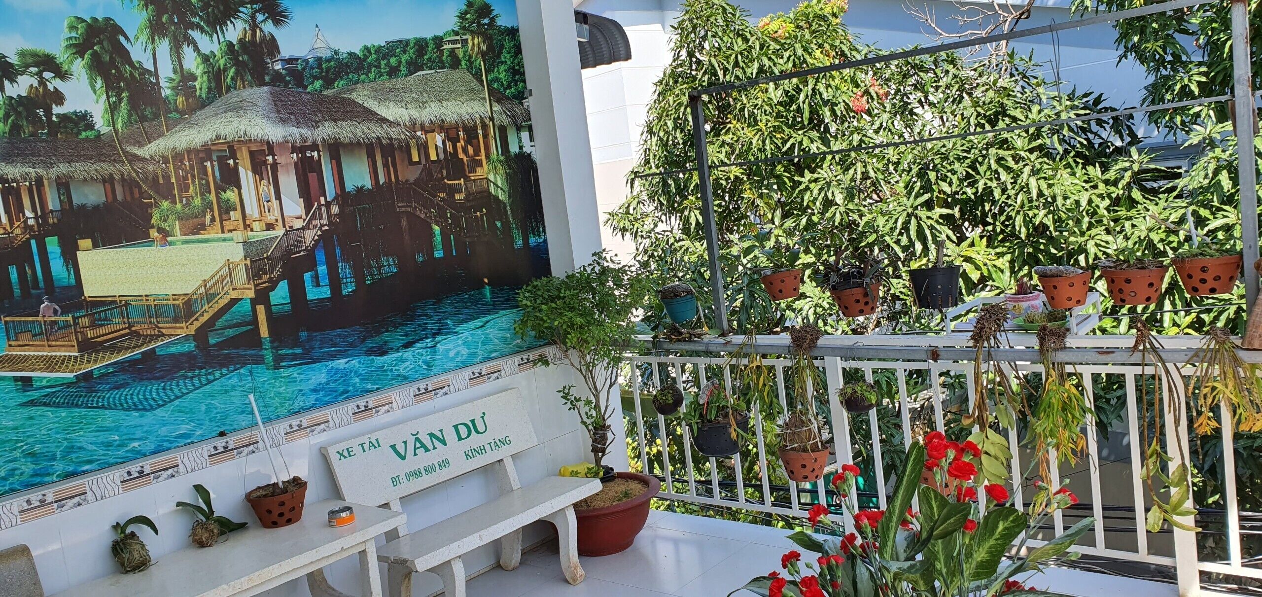 Photo - Song Ngoc Guesthouse