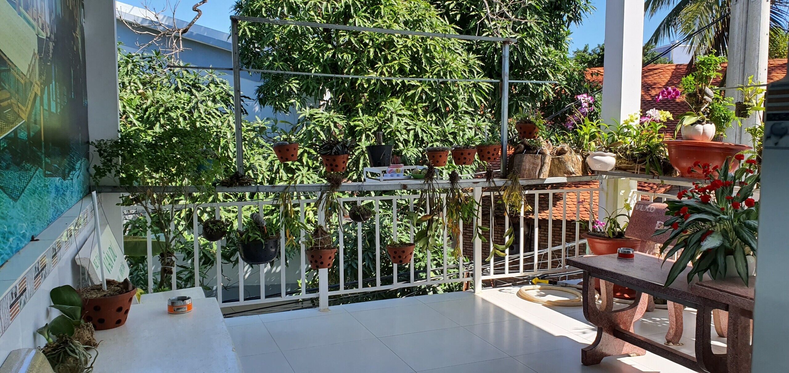 Photo - Song Ngoc Guesthouse