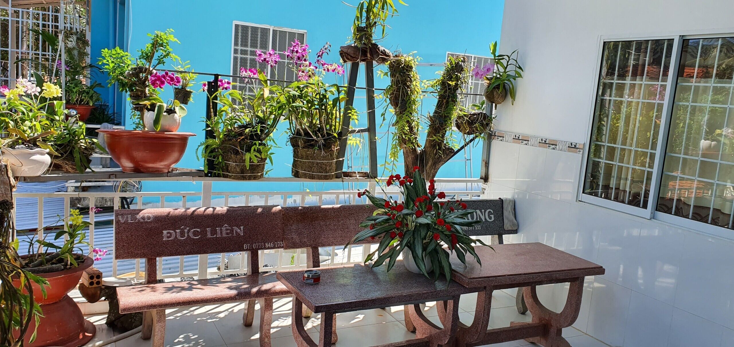 Photo - Song Ngoc Guesthouse