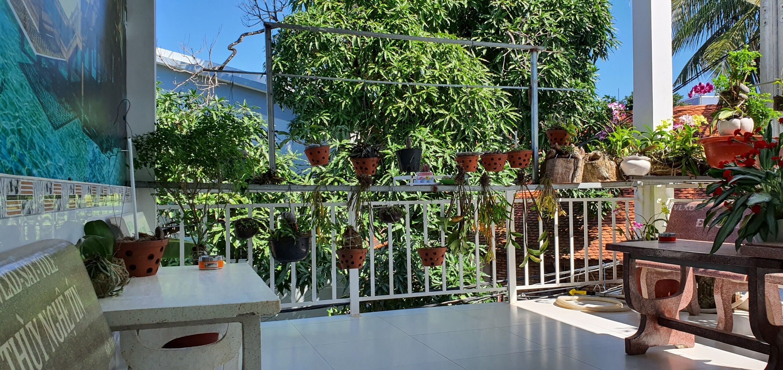 Photo - Song Ngoc Guesthouse