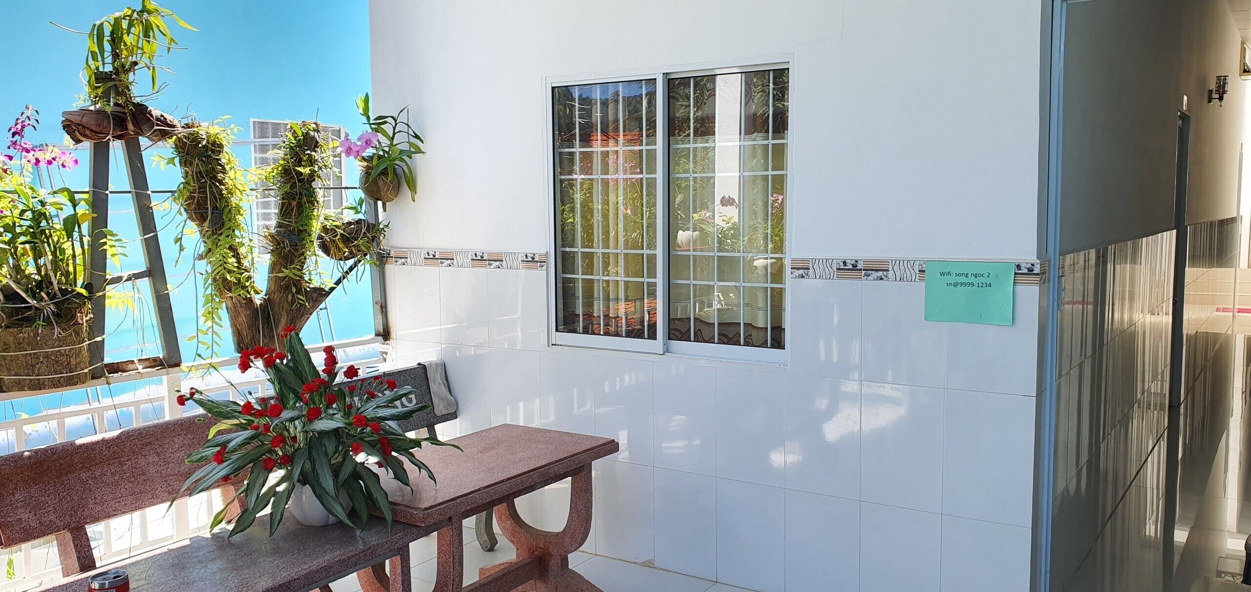 Photo - Song Ngoc Guesthouse