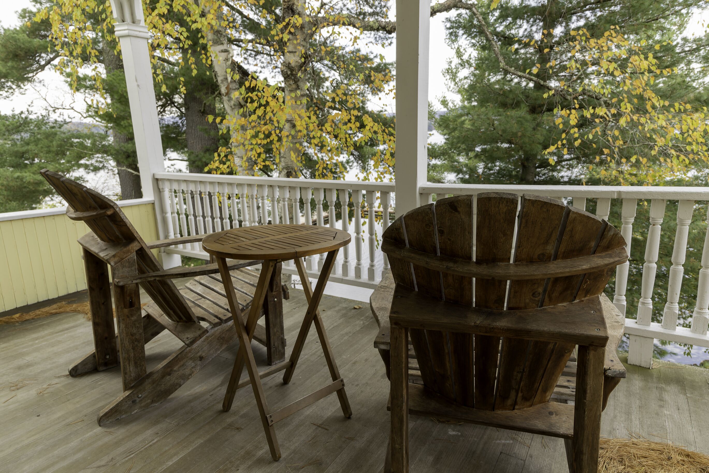 the tree house | view from room