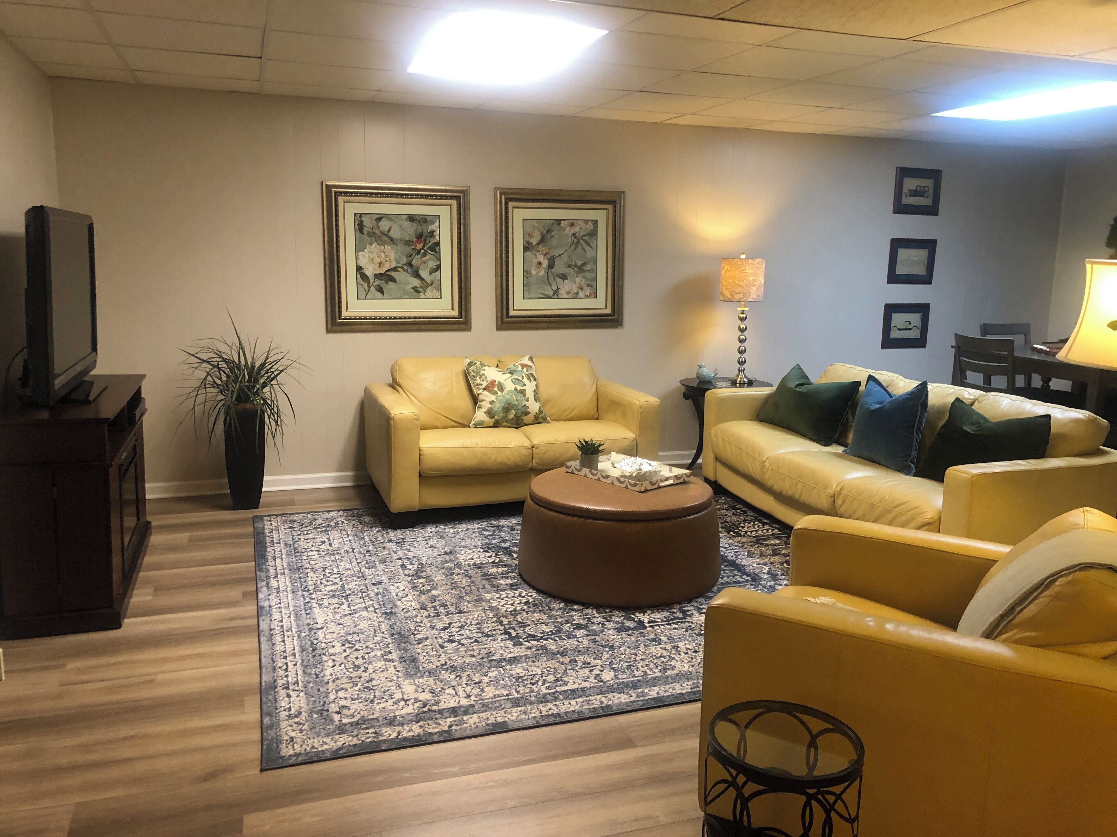 Una Smart TV, un reproductor de DVD, una videoteca