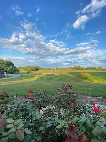 Property grounds. Relax & Refresh while enjoying the Simple Life of Amish Country - A Safe Haven