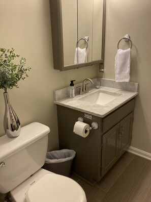 Combined shower/bathtub, hair dryer, towels, soap