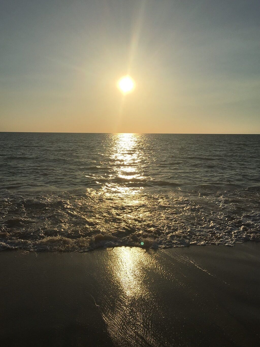 Red Dog's Retreat and Pup with a pool & ocean views. WiFi & Linen included — image 30