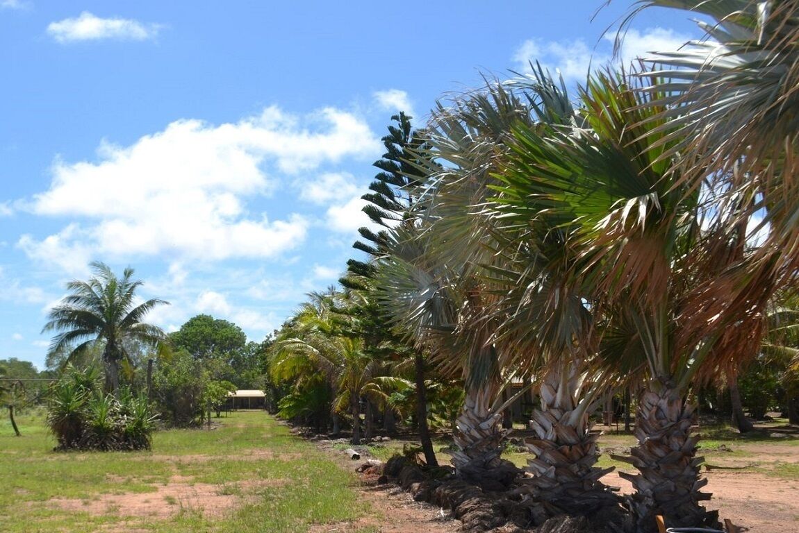 Red Dog's Retreat and Pup with a pool & ocean views. WiFi & Linen included — image 24