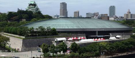 A large stadium with a green roof, surrounded by trees and a river.