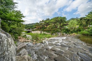 A river flowing through a rocky landscape with a bridge and lush greenery.