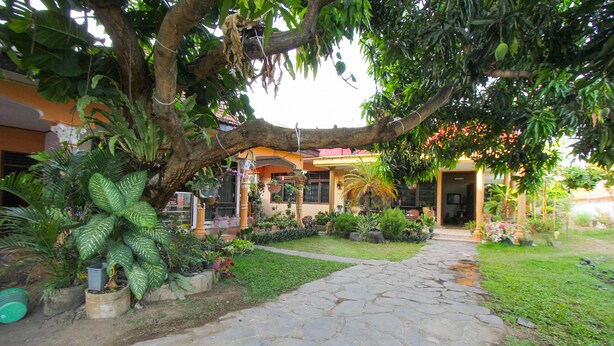 A stone pathway leading to a house surrounded by lush greenery and potted plants. - OYO 1721 A. Yani 95 Residence (Banyuwangi)