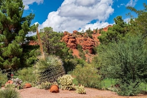 Um jardim no deserto com cactos e formações rochosas avermelhadas.