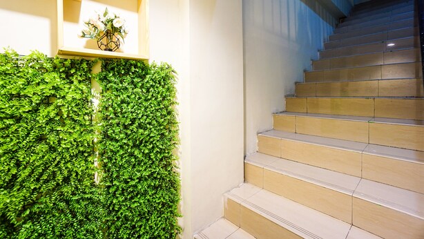 Un escalier aux marches de couleur beige et un mur recouvert de feuillage vert.