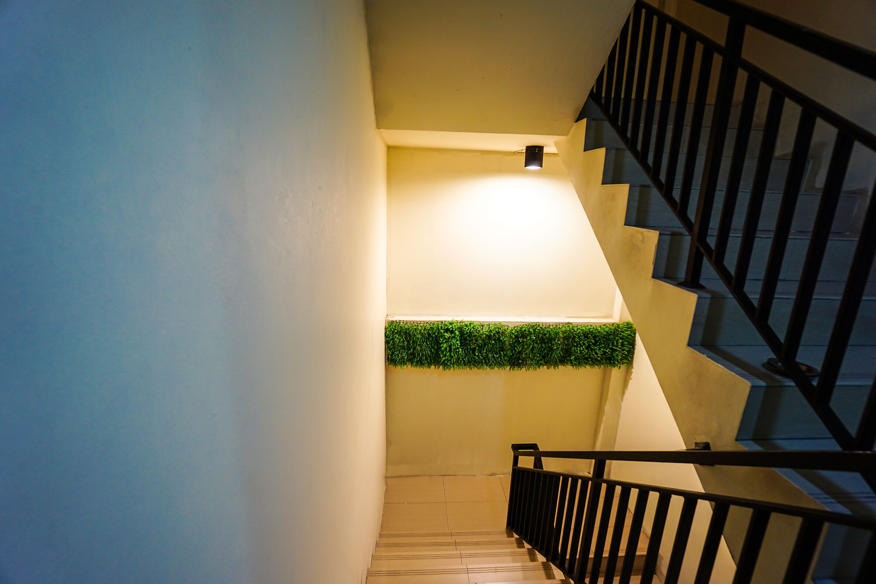 A staircase with a black railing, a light fixture on the wall, and a green plant decoration.