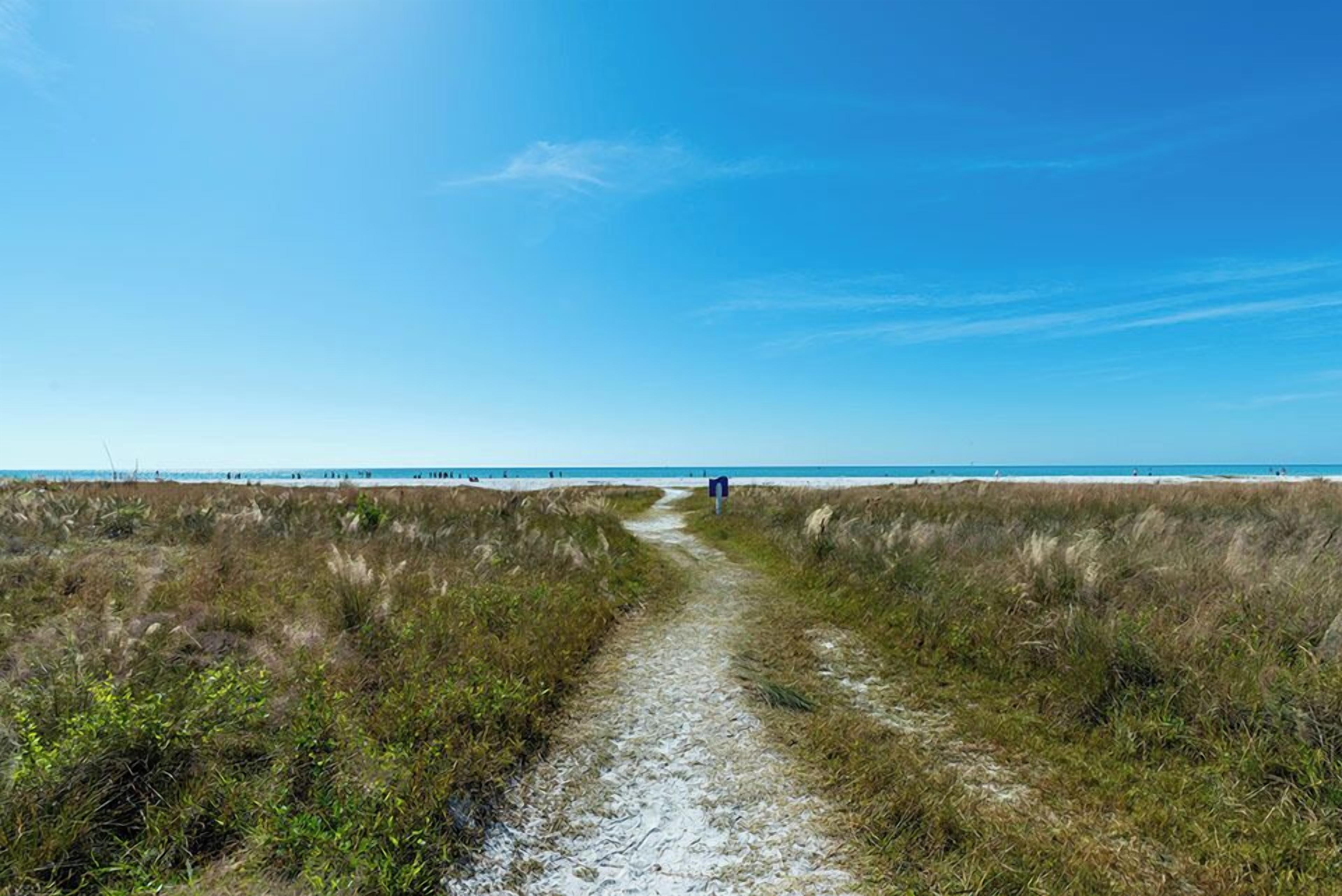 A sandy path leading to a beach with a clear blue sky.
