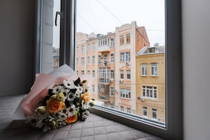 Estudio estándar | Vista desde la habitación