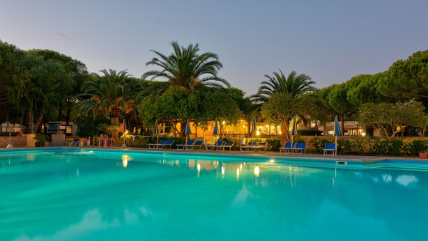 Una piscina con sillas de descanso y palmeras.